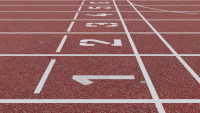 the numbered starting line on a racing track