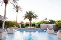 A view of tropical palm trees next to a pool