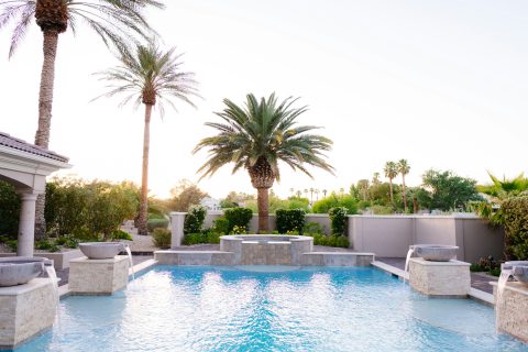 A view of tropical palm trees next to a pool