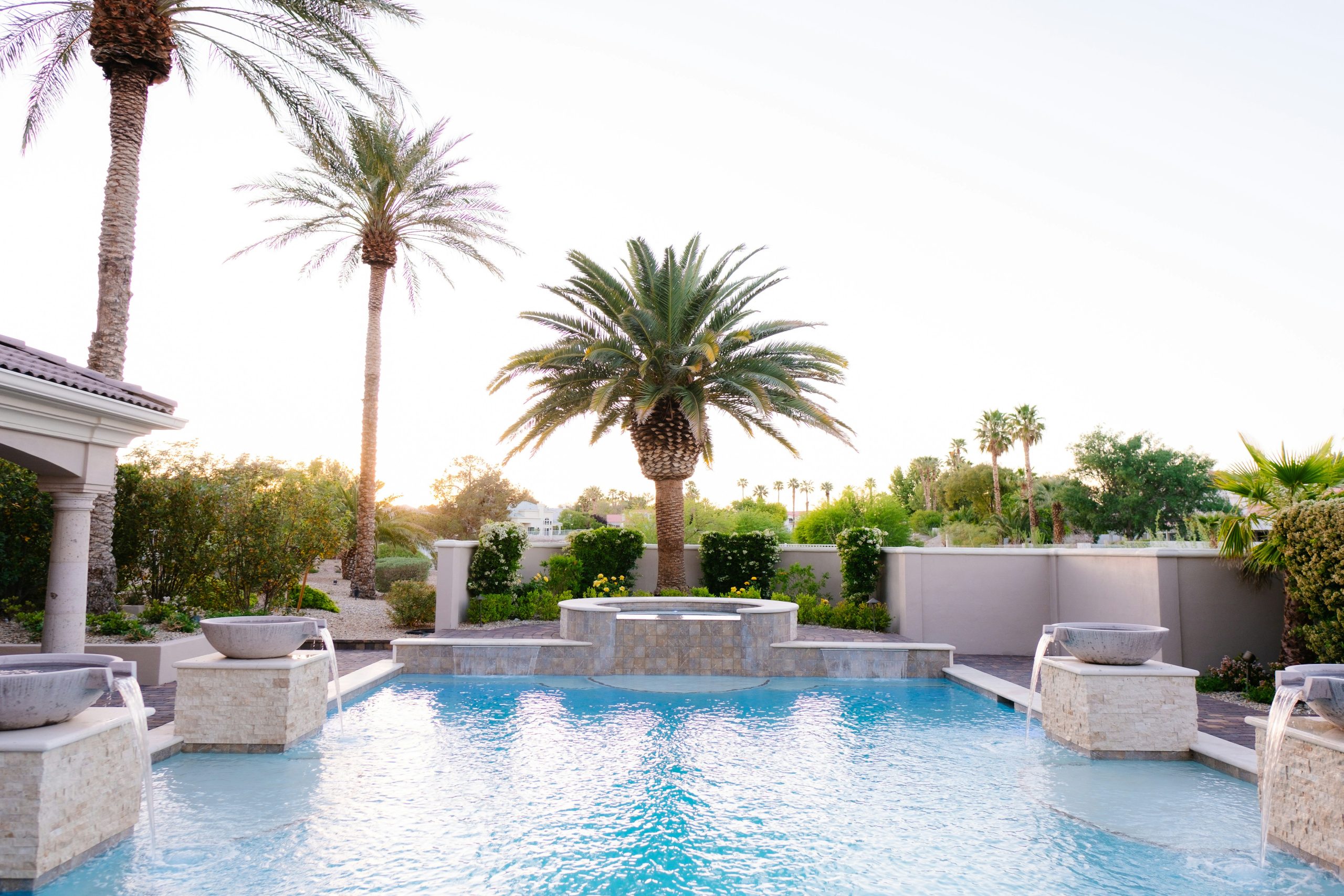 A view of tropical palm trees next to a pool